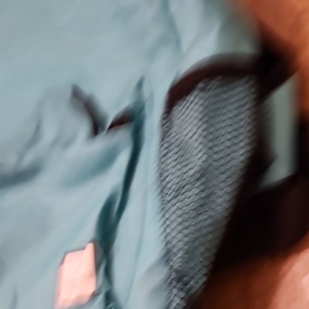 Teal Blue Backpack From FORWARD - Picture 4 of 7